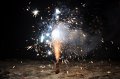 Silvester 2010   038
